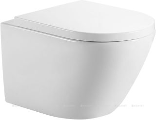 Унитаз подвесной Aquanet ZVEZDA-2 ZV-2 303978 белый